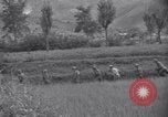 Immagine di Guerra di Corea Chilgok Corea del Sud, 1950, secondo 59 filmato di repertorio 65675030833