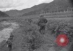 Immagine di Guerra di Corea Chilgok Corea del Sud, 1950, secondo 10 filmato di repertorio 65675030834