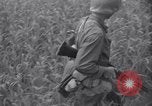 Immagine di Guerra di Corea Chilgok Corea del Sud, 1950, secondo 35 filmato di repertorio 65675030834