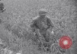 Immagine di Guerra di Corea Chilgok Corea del Sud, 1950, secondo 39 filmato di repertorio 65675030834