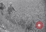 Immagine di Guerra di Corea Chilgok Corea del Sud, 1950, secondo 41 filmato di repertorio 65675030834