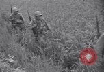Immagine di Guerra di Corea Chilgok Corea del Sud, 1950, secondo 44 filmato di repertorio 65675030834