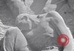 Image post war s'enclenche Eboli Italie, 1943, de la seconde 22 séquences d'archives historiques vidéo 65675030838