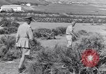 Image Général Mark W Clark en Afrique du Nord, 1944, de la seconde 38 séquences d'archives historiques vidéo 65675030847