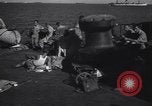 Standbild Landing Ship Tank Salerno Italien, 1943, aus Sekunde 49 historischem Filmmaterial Videoclip 65675030849
