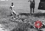 Immagine di Montecorvino Airfield Salerno Italia, 1943, secondo 62 filmato di repertorio 65675030855