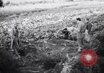 Immagine di British corrispondenti di guerra Pompei Italia, 1943, secondo 13 filmato di repertorio 65675030857