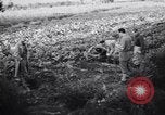 Immagine di British corrispondenti di guerra Pompei Italia, 1943, secondo 15 filmato di repertorio 65675030857