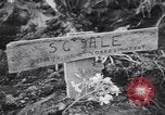 Immagine di British corrispondenti di guerra Pompei Italia, 1943, secondo 21 filmato di repertorio 65675030857