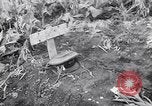 Immagine di British corrispondenti di guerra Pompei Italia, 1943, secondo 33 filmato di repertorio 65675030857