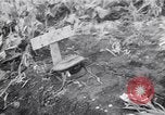 Immagine di British corrispondenti di guerra Pompei Italia, 1943, secondo 35 filmato di repertorio 65675030857