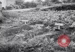 Immagine di British corrispondenti di guerra Pompei Italia, 1943, secondo 38 filmato di repertorio 65675030857