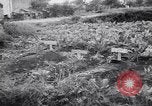 Immagine di British corrispondenti di guerra Pompei Italia, 1943, secondo 39 filmato di repertorio 65675030857
