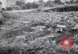 Immagine di British corrispondenti di guerra Pompei Italia, 1943, secondo 40 filmato di repertorio 65675030857
