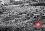 Immagine di British corrispondenti di guerra Pompei Italia, 1943, secondo 42 filmato di repertorio 65675030857