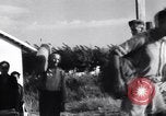 Standbild Schlacht von Neapel Brindisi Italien, 1943, aus Sekunde 31 historischem Filmmaterial Videoclip 65675030868
