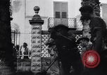 Image of Battle of Naples Naples Italy, 1943, second 13 stock footage video 65675030870