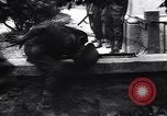 Image of Battle of Naples Naples Italy, 1943, second 49 stock footage video 65675030870