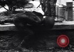 Image of Battle of Naples Naples Italy, 1943, second 50 stock footage video 65675030870