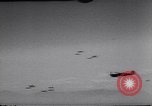 Image of USAAF B-25 bombers with P-47 fighter escorts Italy, 1943, second 1 stock footage video 65675030873