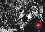 Standbild 155mm Artillerie Italien, 1943, aus Sekunde 18 historischem Filmmaterial Videoclip 65675030875
