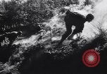 Standbild 155mm Artillerie Italien, 1943, aus Sekunde 23 historischem Filmmaterial Videoclip 65675030875