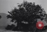 Standbild 155mm Artillerie Italien, 1943, aus Sekunde 31 historischem Filmmaterial Videoclip 65675030875