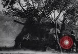 Standbild 155mm Artillerie Italien, 1943, aus Sekunde 43 historischem Filmmaterial Videoclip 65675030875