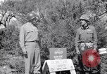 Immagine di General George Patton Cefalù Italia, 1943, secondo 5 filmato di repertorio 65675030881