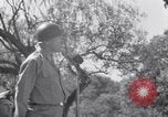 Immagine di General George Patton Cefalù Italia, 1943, secondo 28 filmato di repertorio 65675030881