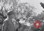 Immagine di General George Patton Cefalù Italia, 1943, secondo 31 filmato di repertorio 65675030881