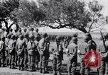 Immagine di General George Patton Cefalù Italia, 1943, secondo 43 filmato di repertorio 65675030881