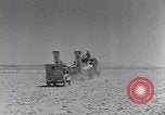 Immagine di Serbatoio britannico retriever Il Nord Africa, 1943, secondo 44 filmato di repertorio 65675030882