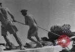 Immagine di Serbatoio britannico retriever Il Nord Africa, 1943, secondo 45 filmato di repertorio 65675030882