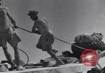 Immagine di Serbatoio britannico retriever Il Nord Africa, 1943, secondo 46 filmato di repertorio 65675030882