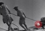 Immagine di Serbatoio britannico retriever Il Nord Africa, 1943, secondo 47 filmato di repertorio 65675030882
