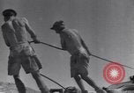 Immagine di Serbatoio britannico retriever Il Nord Africa, 1943, secondo 48 filmato di repertorio 65675030882