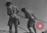 Immagine di Serbatoio britannico retriever Il Nord Africa, 1943, secondo 49 filmato di repertorio 65675030882