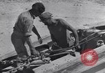 Immagine di Serbatoio britannico retriever Il Nord Africa, 1943, secondo 51 filmato di repertorio 65675030882