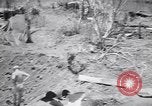 Immagine di Aviosuperficie di giapponese e piani a Lae distrutta dai bombardieri alleati Nuova Guinea, 1943, secondo 19 filmato di repertorio 65675030887