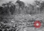 Immagine di Aviosuperficie di giapponese e piani a Lae distrutta dai bombardieri alleati Nuova Guinea, 1943, secondo 36 filmato di repertorio 65675030887