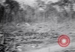 Immagine di Aviosuperficie di giapponese e piani a Lae distrutta dai bombardieri alleati Nuova Guinea, 1943, secondo 37 filmato di repertorio 65675030887