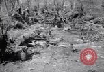 Immagine di Aviosuperficie di giapponese e piani a Lae distrutta dai bombardieri alleati Nuova Guinea, 1943, secondo 40 filmato di repertorio 65675030887