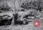 Immagine di Aviosuperficie di giapponese e piani a Lae distrutta dai bombardieri alleati Nuova Guinea, 1943, secondo 41 filmato di repertorio 65675030887
