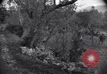 Standbild 3 Ranger Bataillon Santa Maria Italien, 1943, aus Sekunde 44 historischem Filmmaterial Videoclip 65675030901