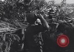 Standbild German 20mm Flak gun Salerno Italien, 1943, aus Sekunde 6 historischem Filmmaterial Videoclip 65675030907