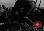 Standbild German 20mm Flak gun Salerno Italien, 1943, aus Sekunde 11 historischem Filmmaterial Videoclip 65675030907