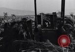 Standbild German 20mm Flak gun Salerno Italien, 1943, aus Sekunde 22 historischem Filmmaterial Videoclip 65675030907