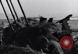 Standbild German 20mm Flak gun Salerno Italien, 1943, aus Sekunde 28 historischem Filmmaterial Videoclip 65675030907
