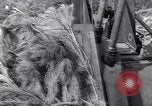 Standbild German 20mm Flak gun Salerno Italien, 1943, aus Sekunde 35 historischem Filmmaterial Videoclip 65675030907